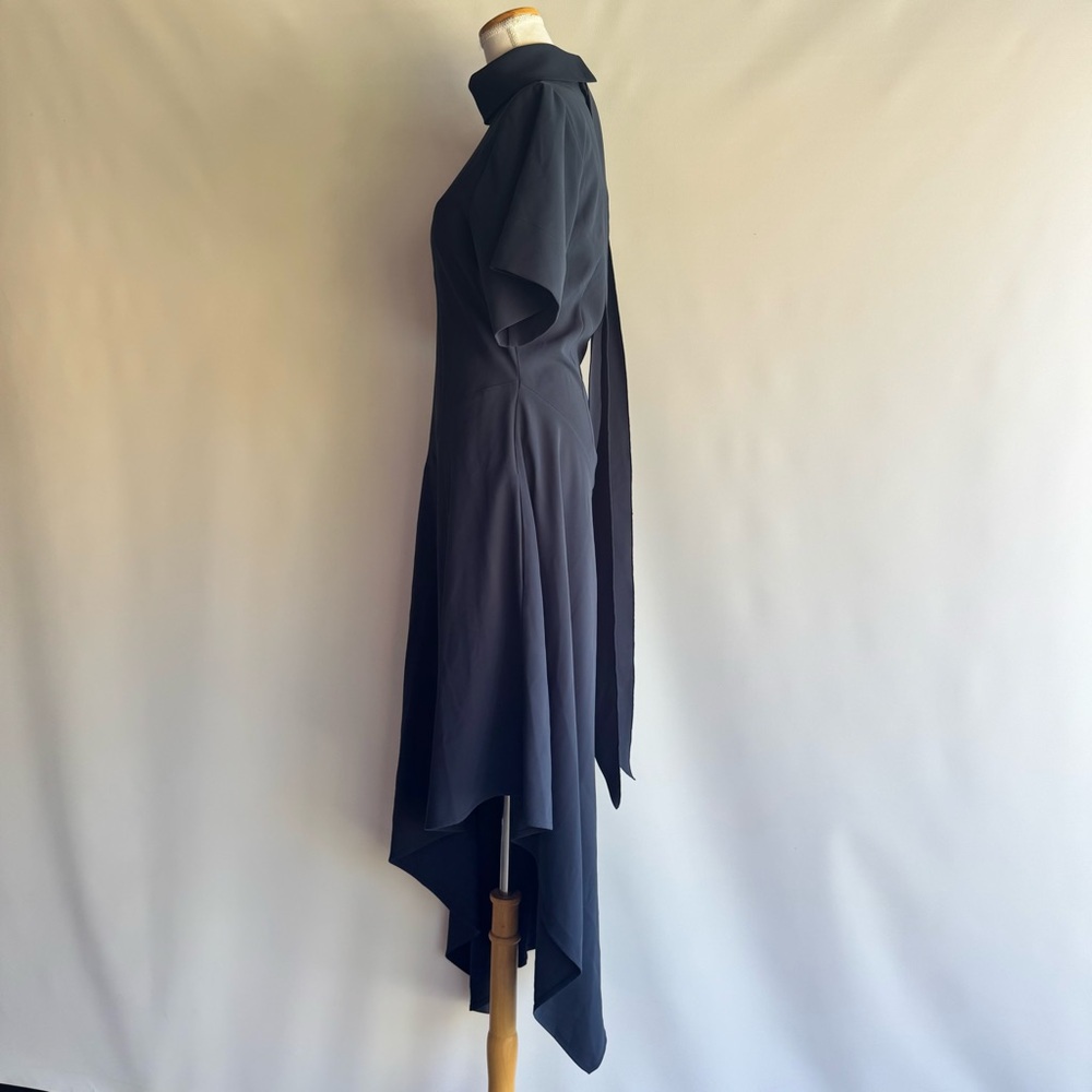 G. Label By GOOP Ren Asymmetrical-Hem Dress - sz 6 - Picture 6 of 9